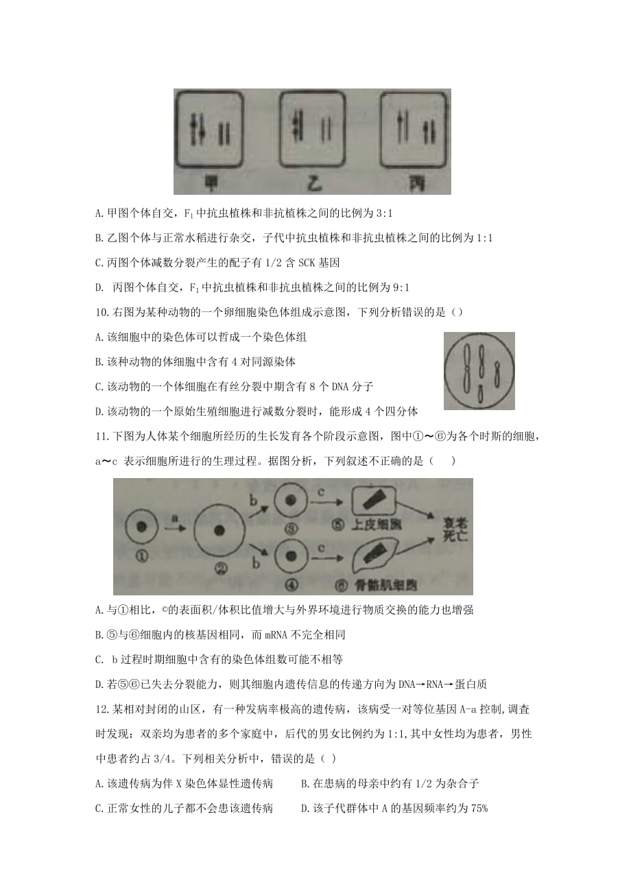 2019-2020年高三上学期第一次模拟考试生物试题 缺答案.doc_第3页