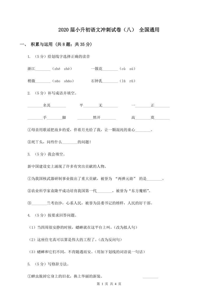 2020届小升初语文冲刺试卷（八） 全国通用.doc_第1页