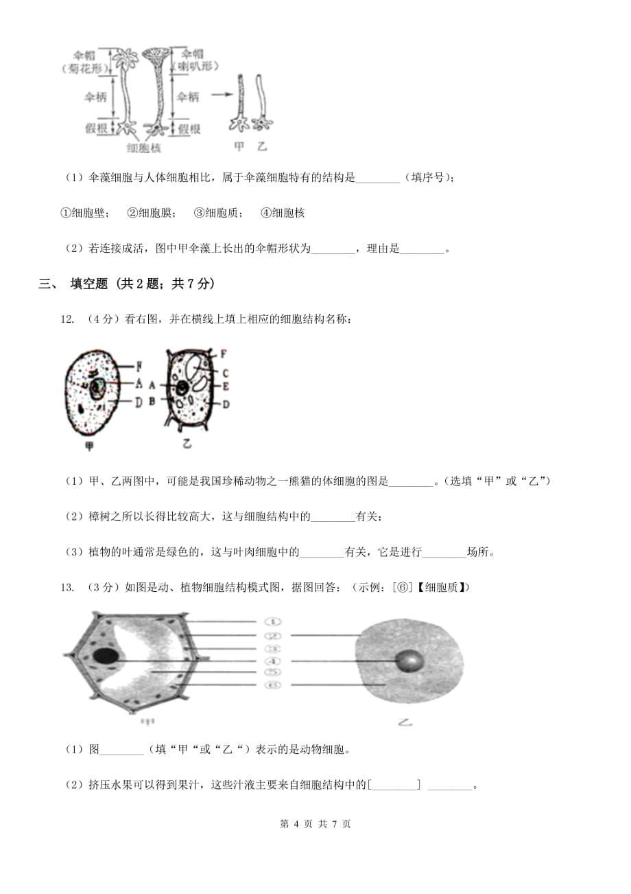 华师大版科学七年级上册 4.2 细胞 （第2课时）B卷.doc_第4页