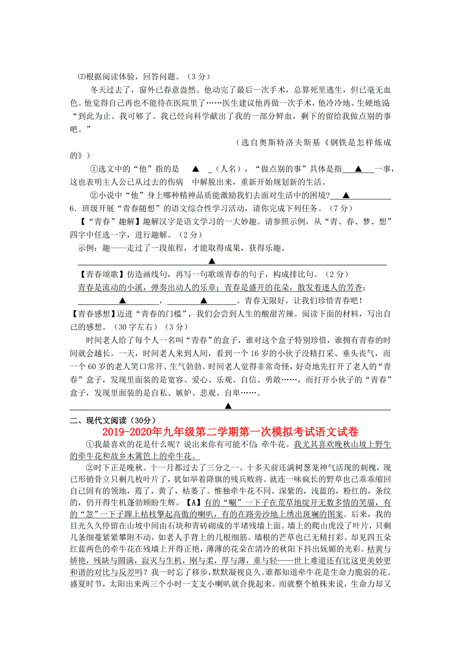 2019-2020年九年级第二学期第一次模拟考试语文试卷.doc_第2页