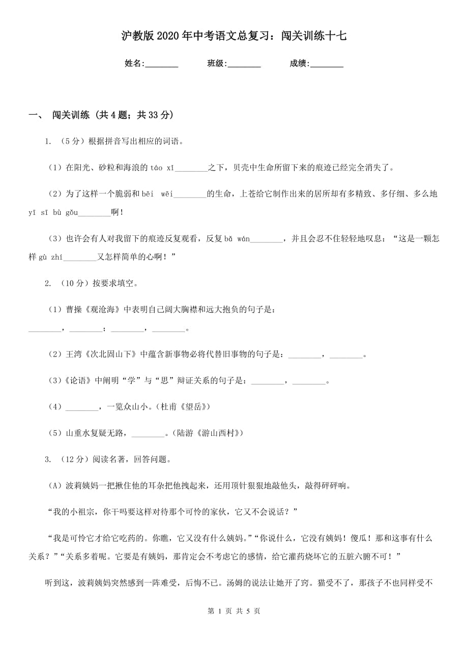 沪教版2020年中考语文总复习：闯关训练十七.doc_第1页