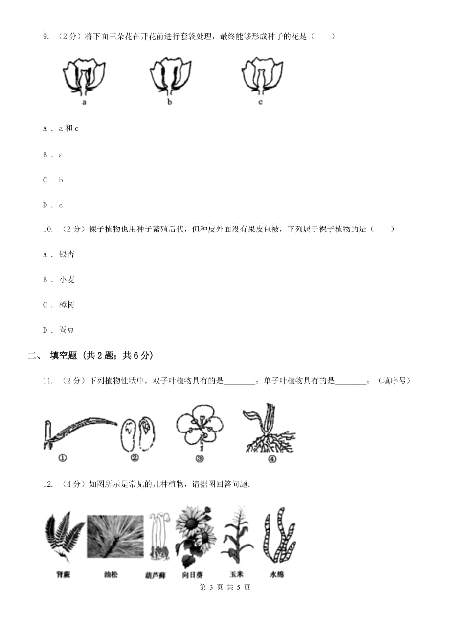 华师大版科学七年级上册2.2植物的主要类群（第1课时）A卷.doc_第3页