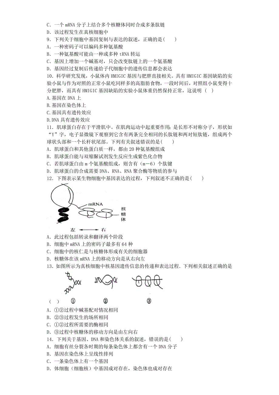 2019-2020年高三生物复习 精选专题练 基因的概念与表达（含解析）.doc_第2页