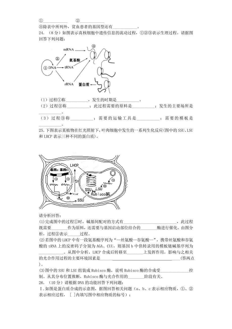 2019-2020年高三生物复习 精选专题练 基因的概念与表达（含解析）.doc_第5页