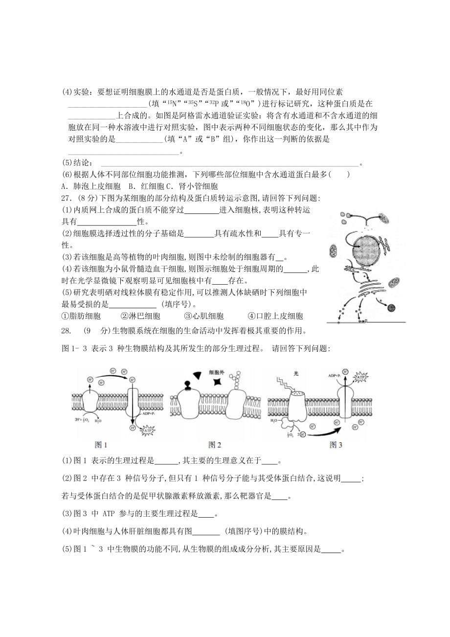 2019-2020年高三生物上学期第一次限时作业试题.doc_第5页