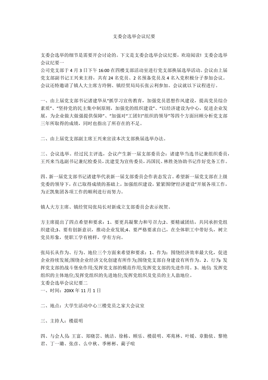 支委会选举会议纪要.docx_第1页