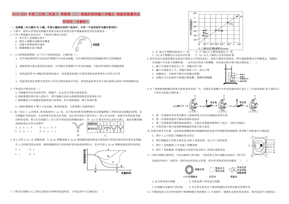 2019-2020年高三生物二轮复习 周测卷（三）细胞的物质输入和输出 细胞的能量供应和利用（含解析）.doc_第1页