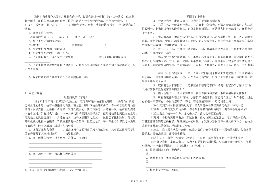 信阳市重点小学小升初语文考前练习试卷 含答案.doc_第3页