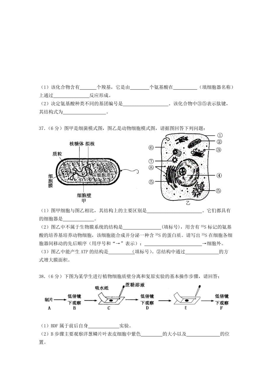 2019-2020年高一上学期第二阶段调研生物（必修）试题含答案.doc_第5页