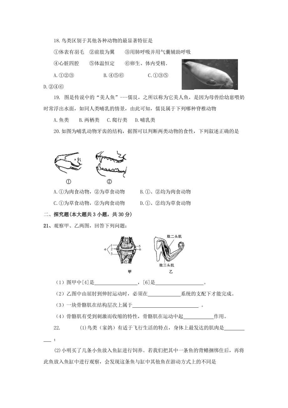 2019-2020年八年级生物上学期第一次月考试题新人教版（II）.doc_第3页