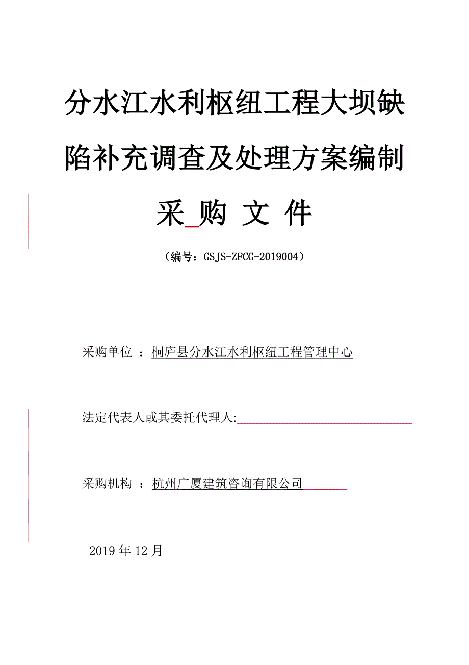 大坝缺陷补充调查及处理方案编制项目招标文件_第1页