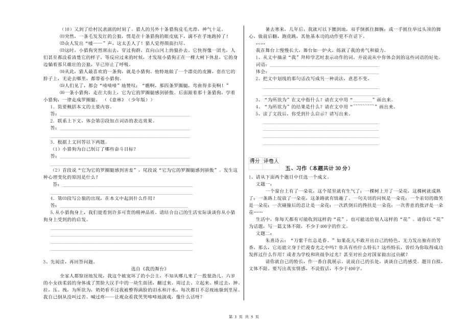 江苏省实验小学六年级语文下学期综合练习试卷 附解析.doc_第3页