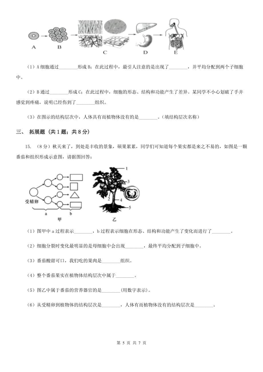 初中科学浙教版七年级上册2.3生物体的结构层次（第2课时）D卷.doc_第5页