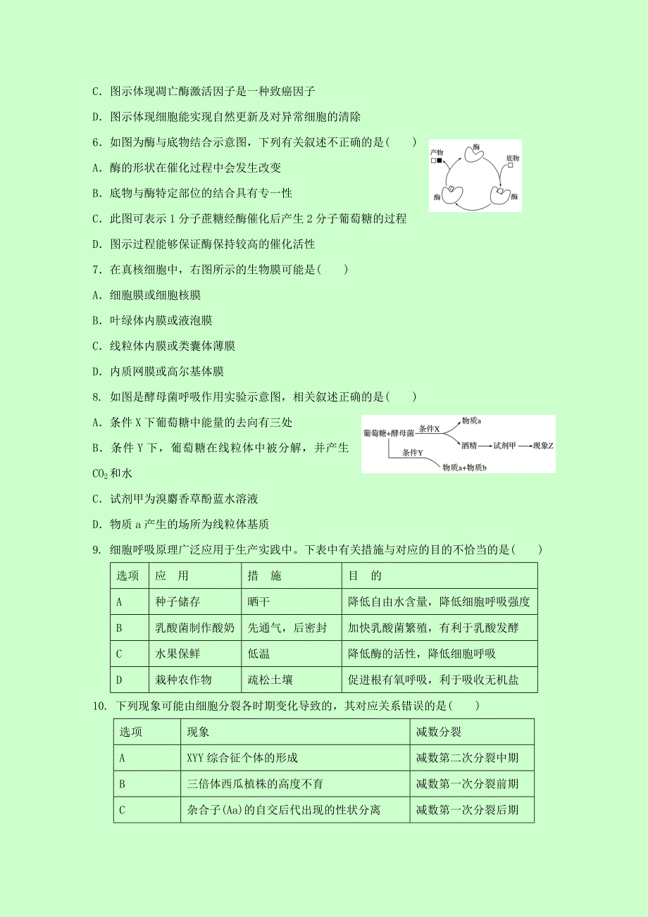 2019-2020年高三上学期期末考试生物试题 含答案（I）.doc_第2页