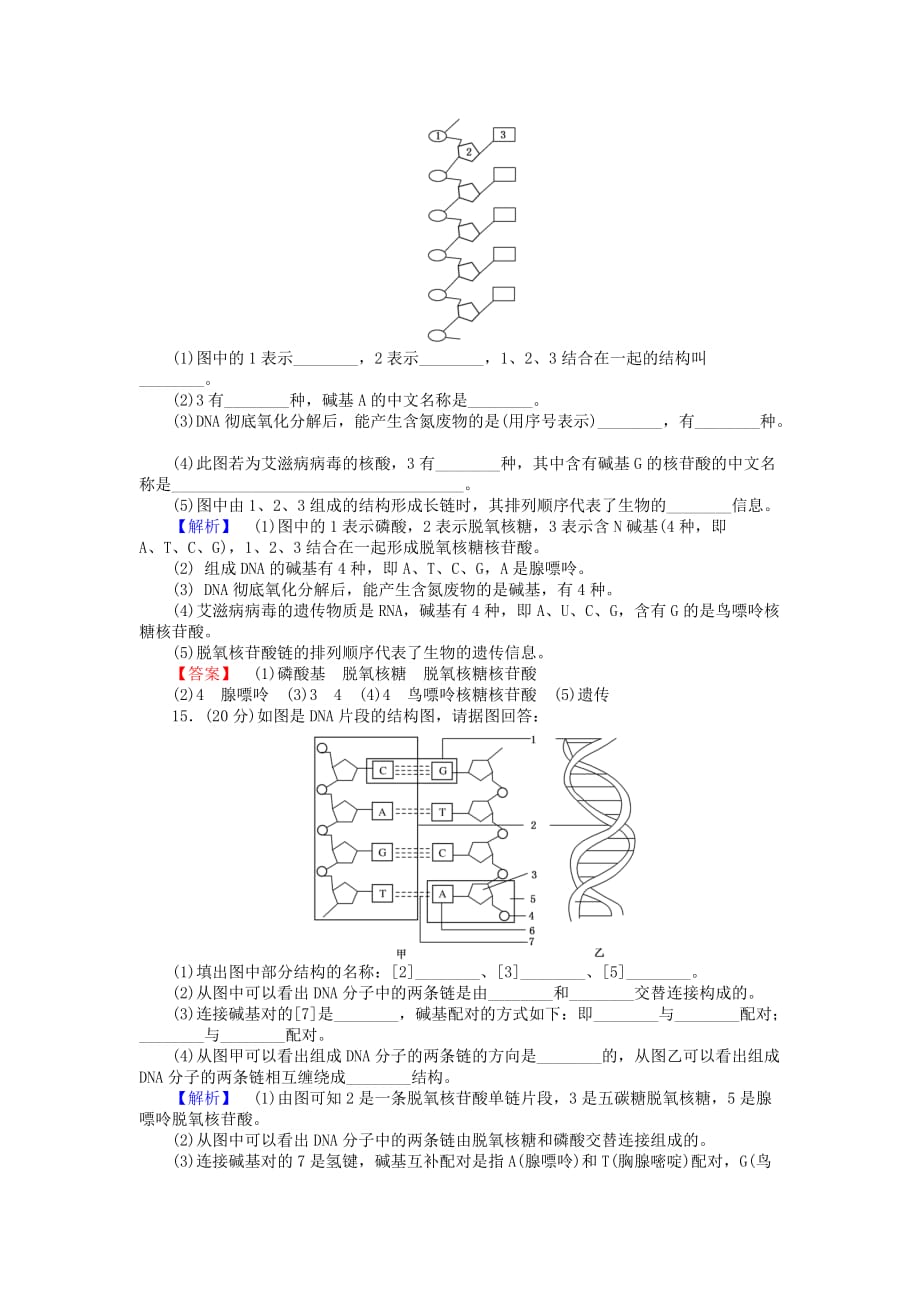 2019-2020年高中生物 3.2《DNA分子的结构》习题 新人教版必修2.doc_第4页