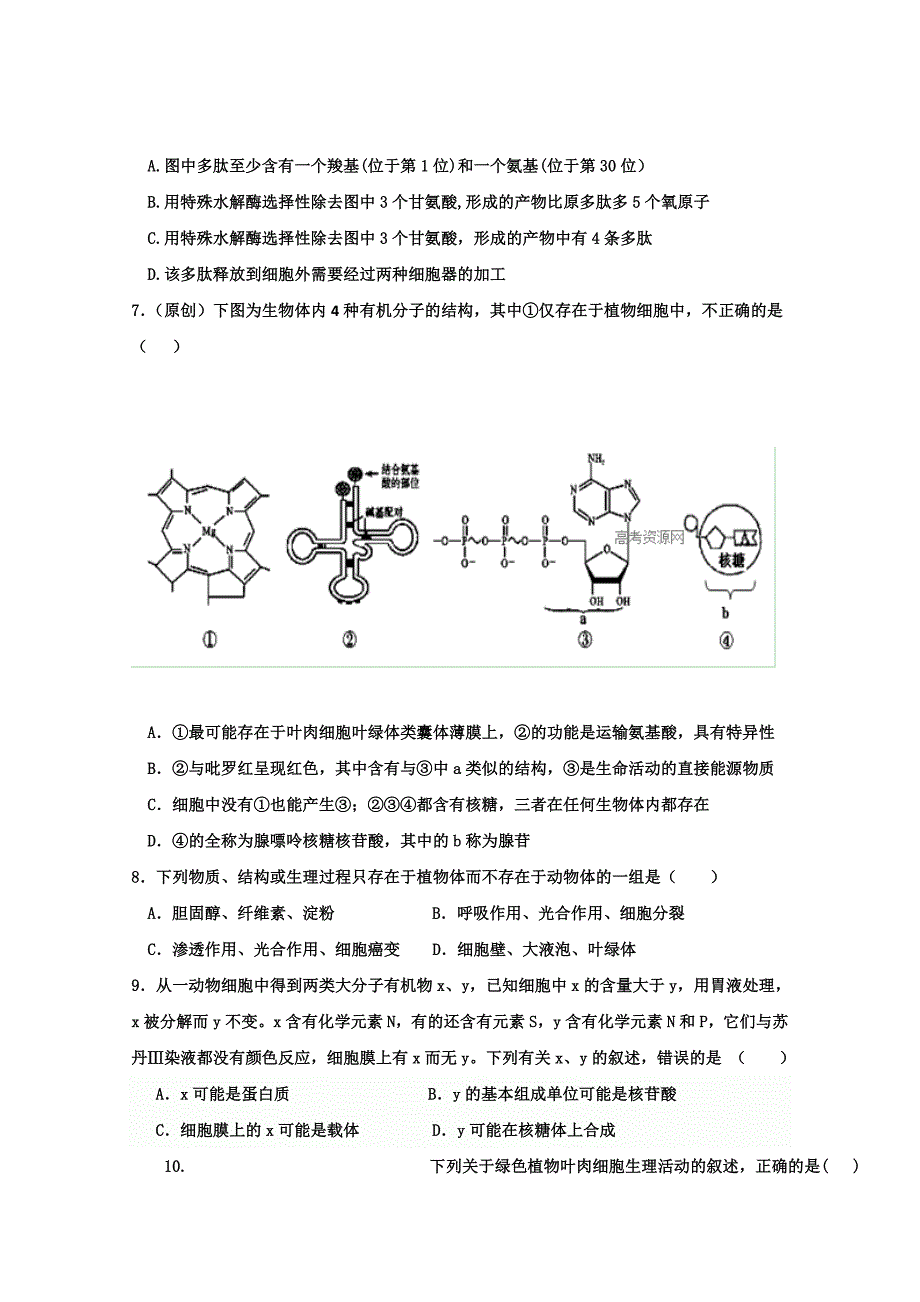 2019-2020年高三上学期一调考试 生物试题 含答案.doc_第2页