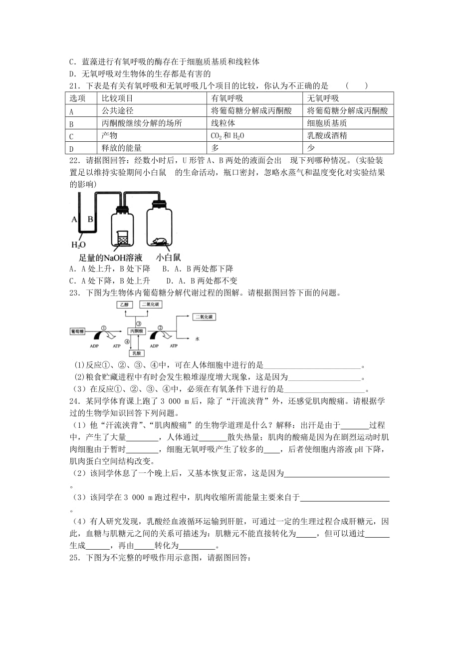 2019-2020年高中生物 第16课ATP的主要来源 细胞呼吸同步练习 新人教版必修1.doc_第4页