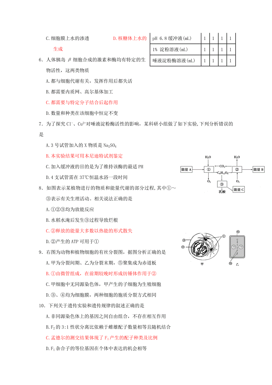 2019-2020年高三生物期中试题（35）.doc_第2页