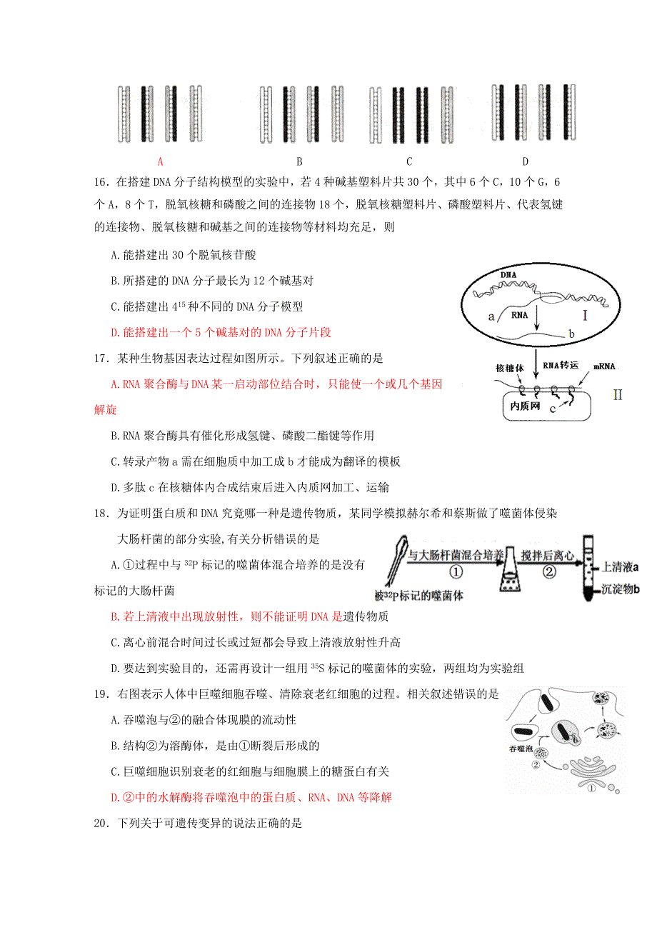 2019-2020年高三生物期中试题（35）.doc_第4页