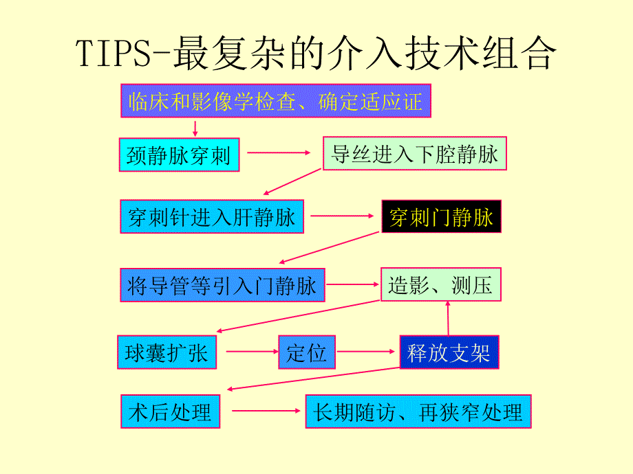 TIPS-技术挑战与风险.ppt_第3页