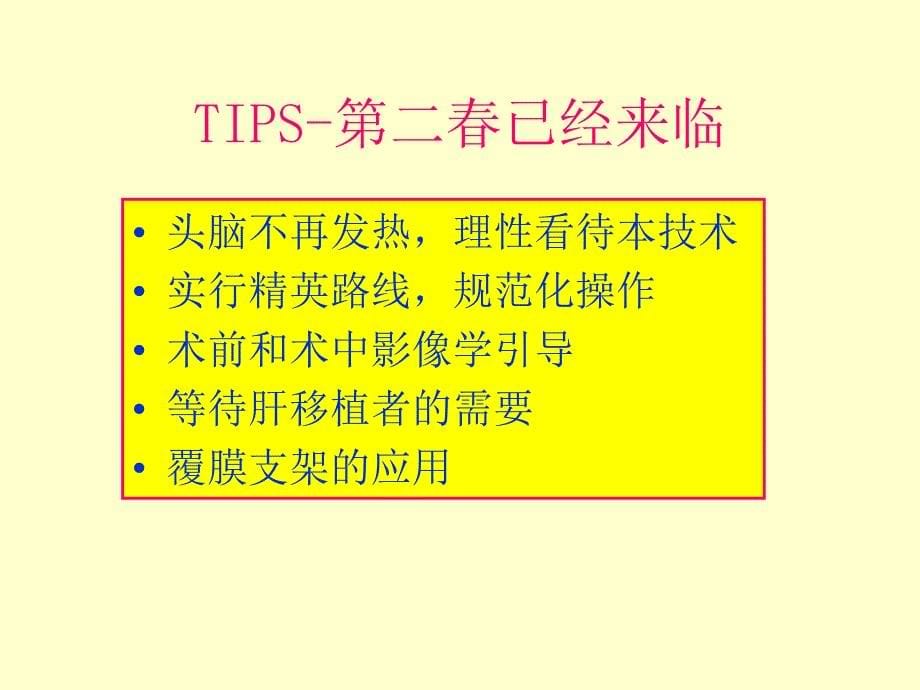 TIPS-技术挑战与风险.ppt_第5页