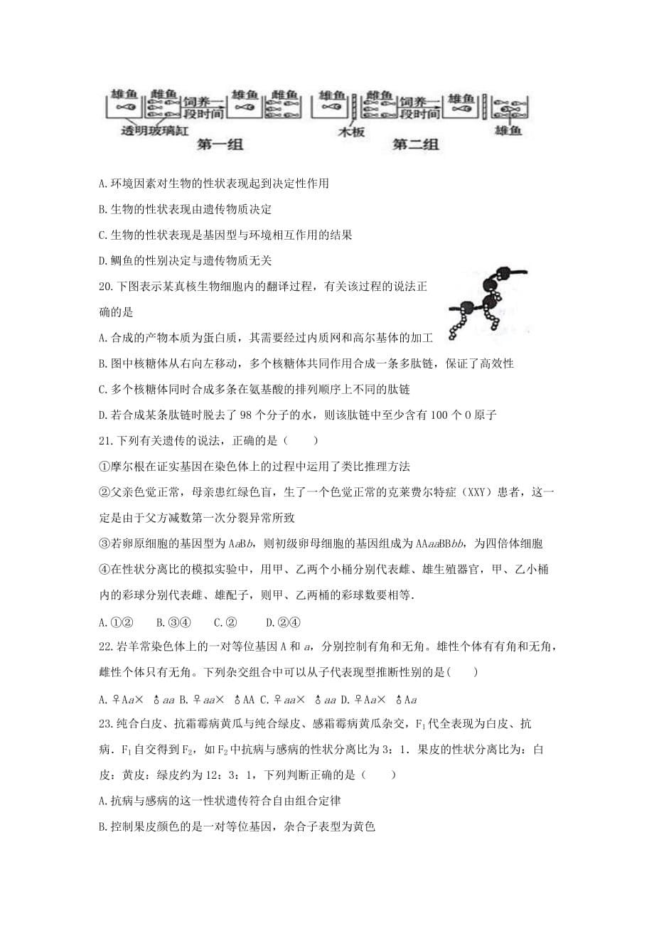 2019-2020年高三上学期期中考试生物试题 含答案（IV）.doc_第5页