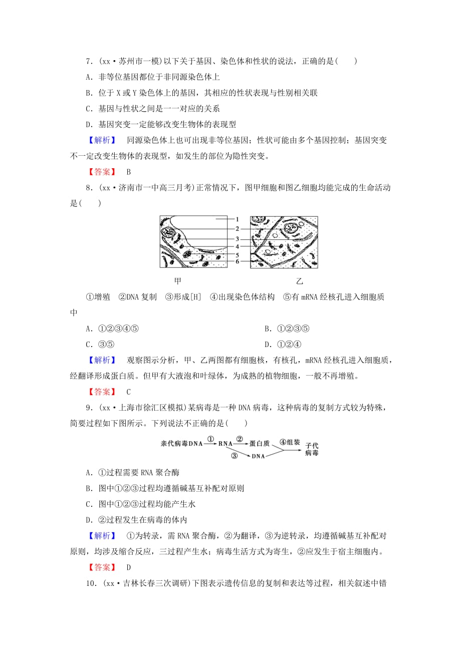 2019年高考生物一轮复习 第2单元 第3讲 基因的表达课时限时检测.doc_第4页