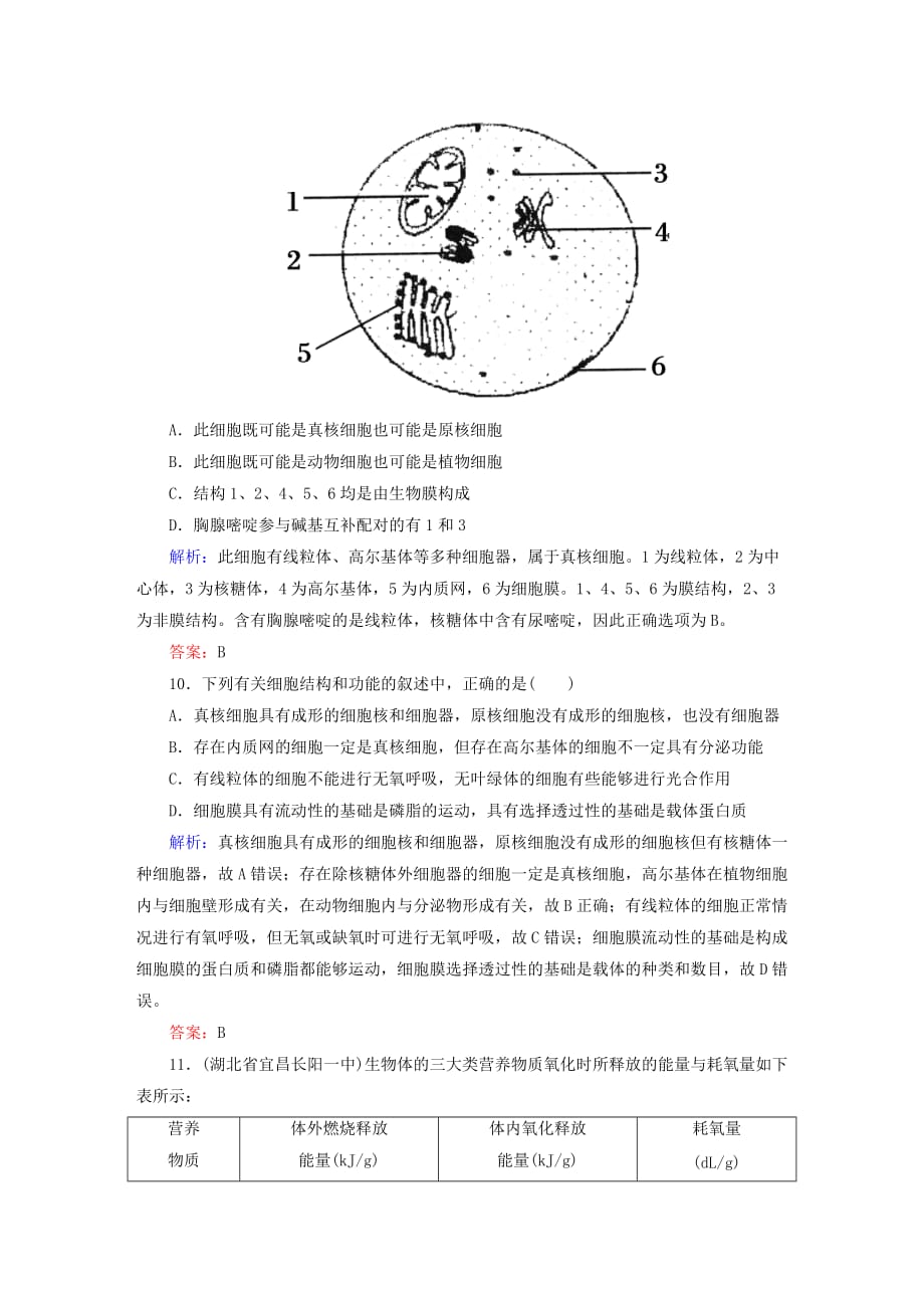 2019年高考生物一轮总复习 阶段综合测试（一）新人教版.DOC_第4页