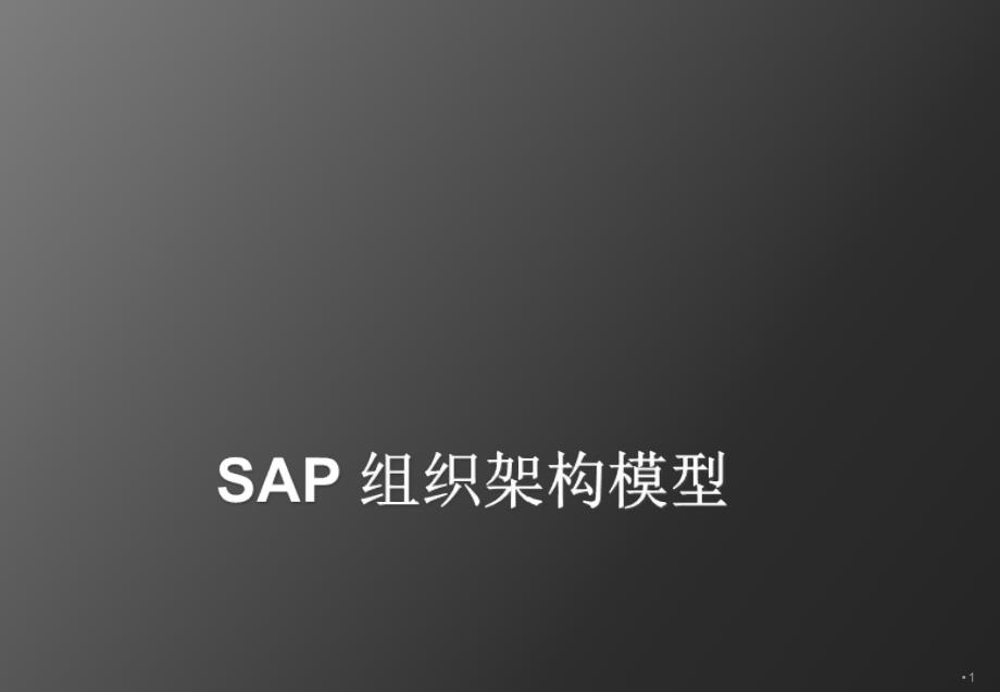 SAP系统分析ppt课件.ppt_第1页