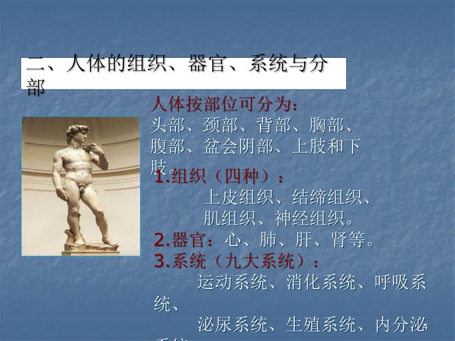 健康管理师医学基础知识ppt课件 (2).ppt_第4页