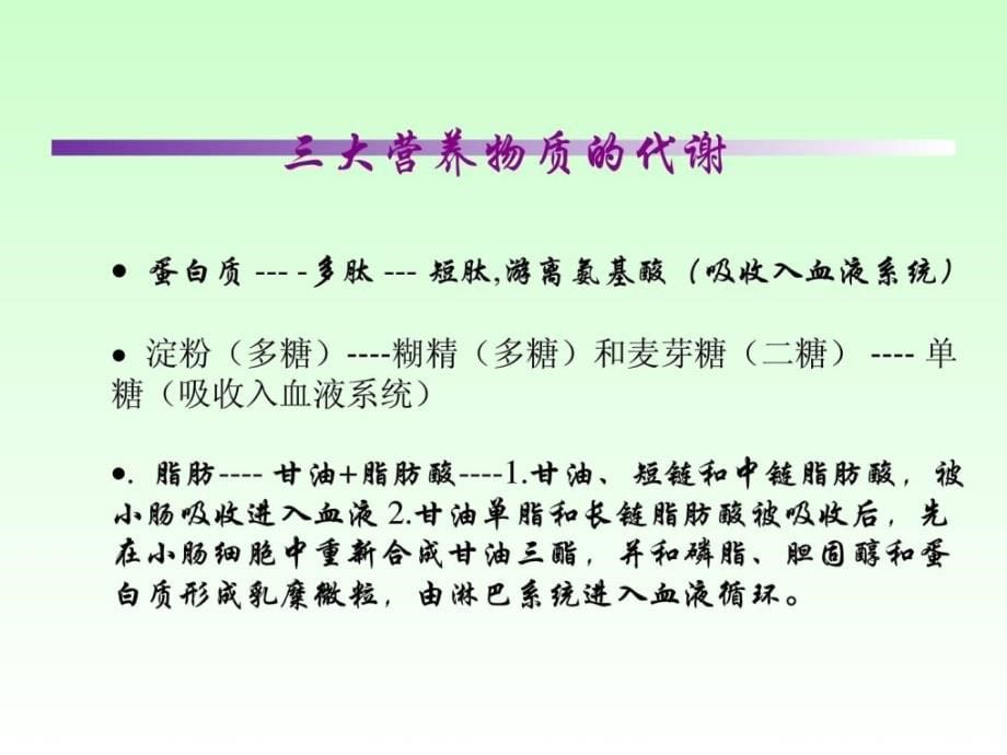 icu患者营养支撑治疗.ppt_第5页