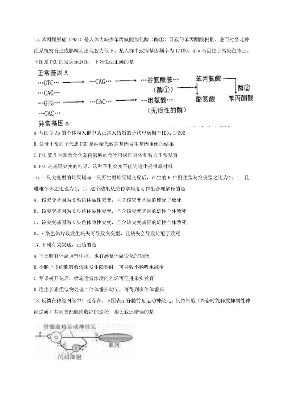 2019-2020年高三生物上学期第二次月考试题（VIII）.doc_第5页