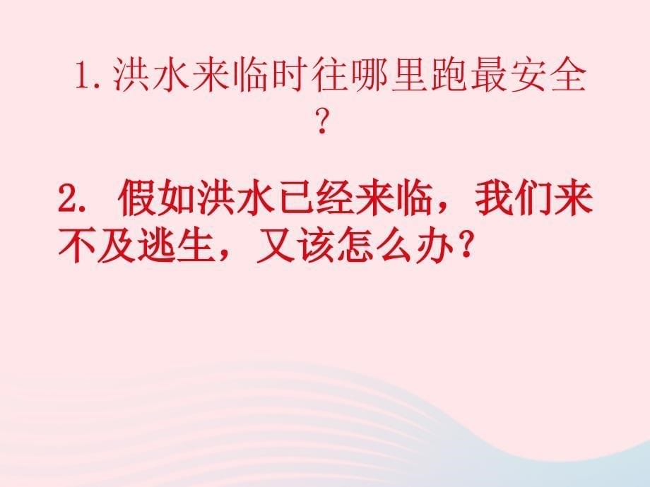 六年级品德与社会下册第二单元人类的家园3当灾害降临的时候课件新人教_第5页