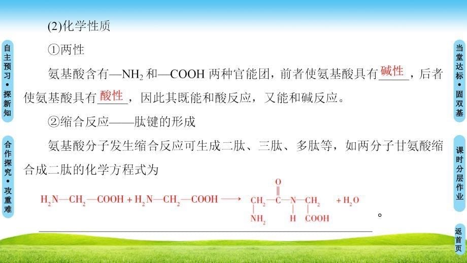 人教版高中化学选修一课件：第1章 第3节　生命的基础——蛋白质_第5页