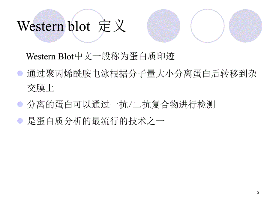 western-blot原理及操作流程ppt课件.ppt_第2页