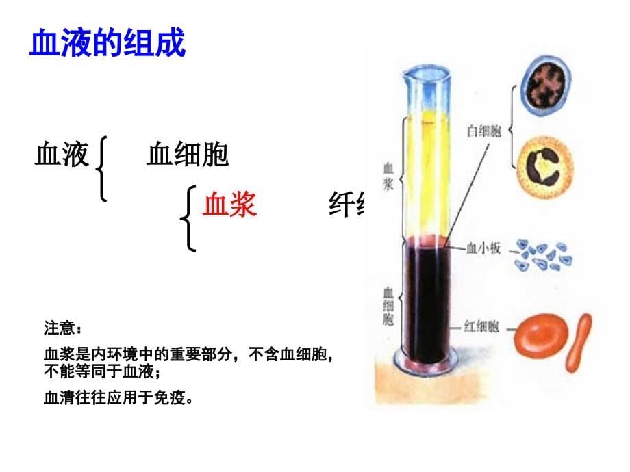 一轮复习之动物生命活动调节.ppt_第5页