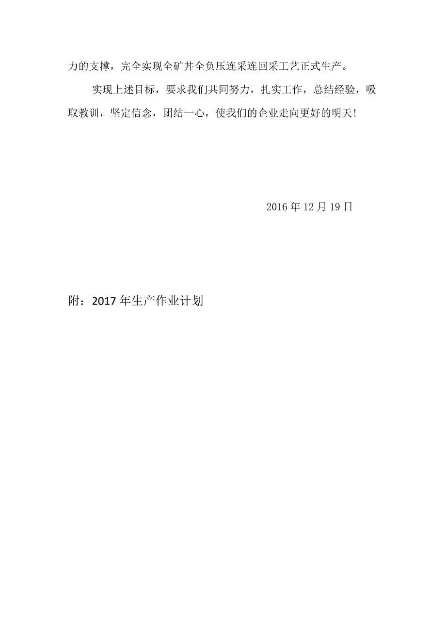 2016矿总结及2017计划.docx_第5页