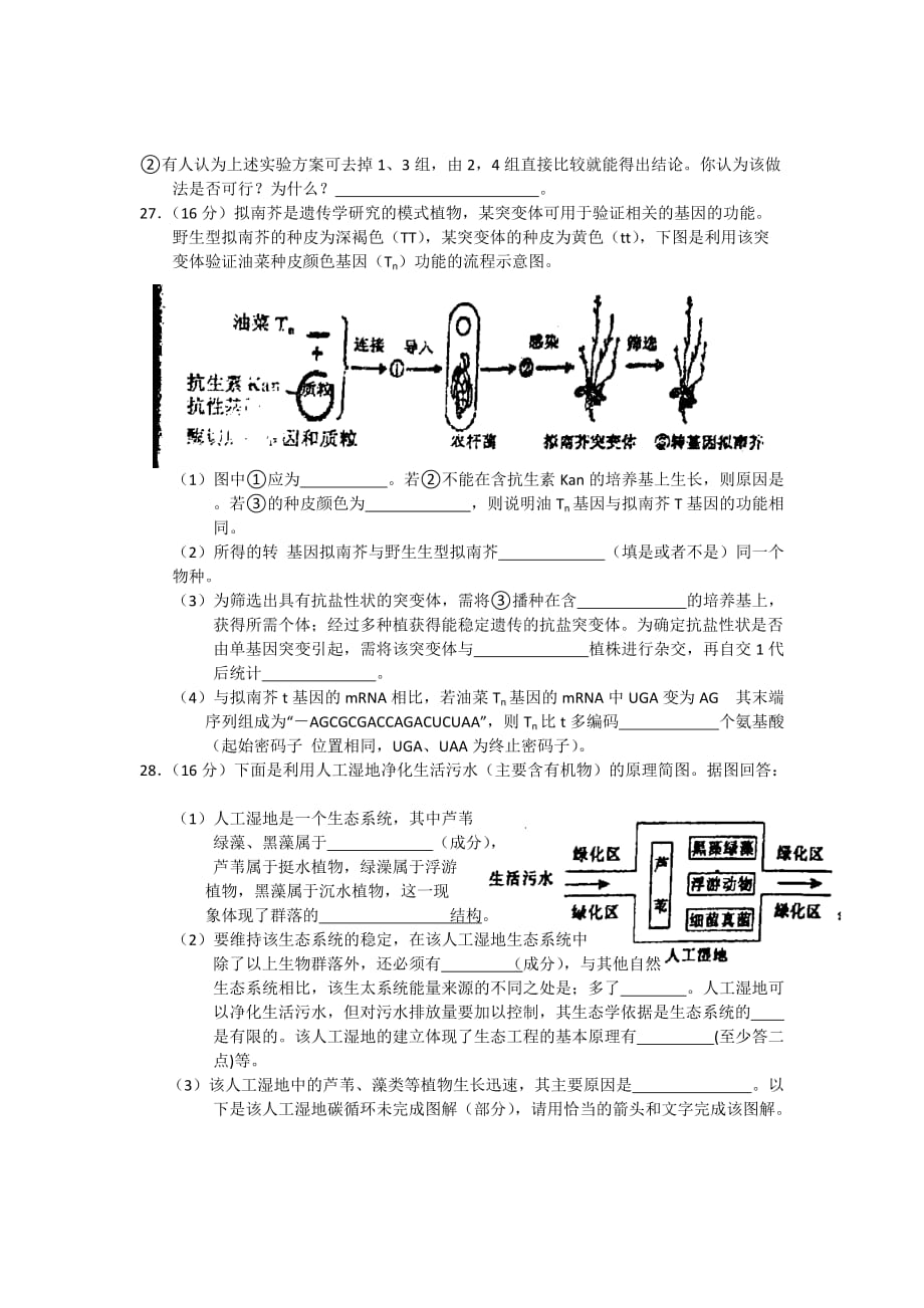 2019-2020年高三第一次质检生物试题 word版.doc_第4页