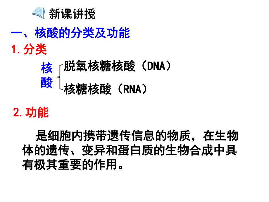 人教版高中生物必修1 第2章第3节遗传信息的携带者—核酸（课件）_第2页