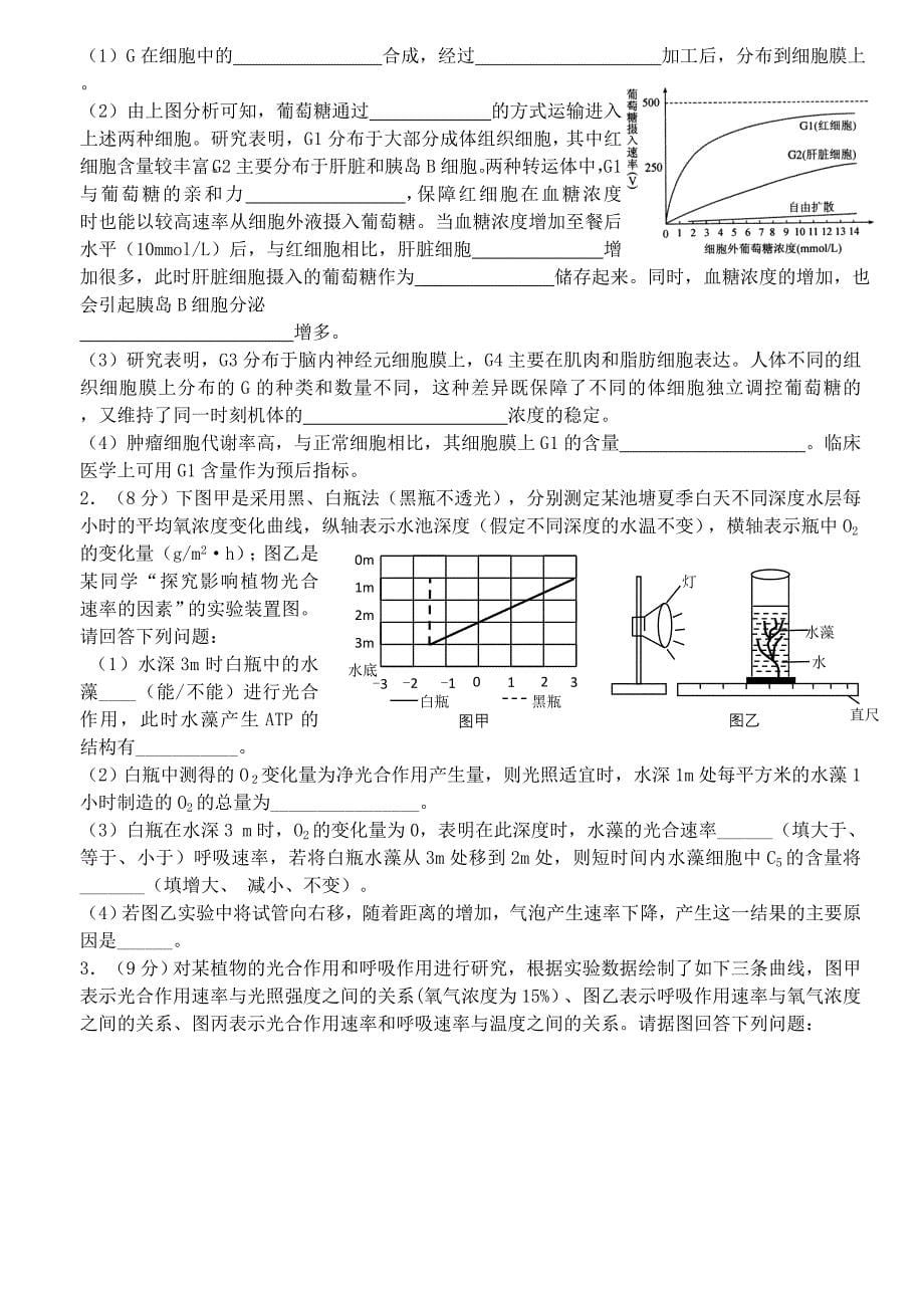 2019-2020年高中生物 细胞代谢期末练习二 新人教版必修1.doc_第5页