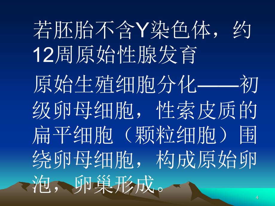 女性生殖器解剖ppt课件.ppt_第4页