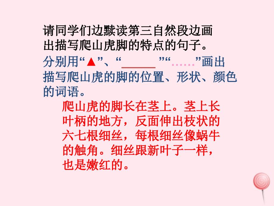 四年级语文上册第二组6爬山虎的脚课件新人教_第4页