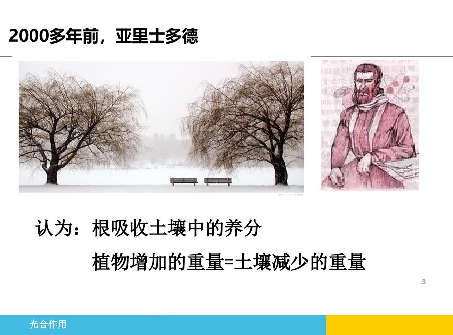 光合作用的探究历程公开课ppt课件 (2).ppt_第3页