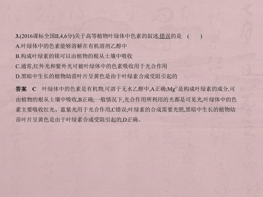 高考生物（5年高考+3年模拟）精品课件北京专：专题6　光合作用（共124张PPT）_第5页