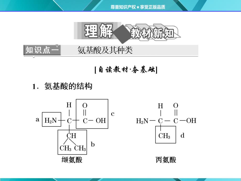 生物新同步课堂人教版必修一课件：第2章 第2节 生命活动的主要承担者——蛋白质_第2页