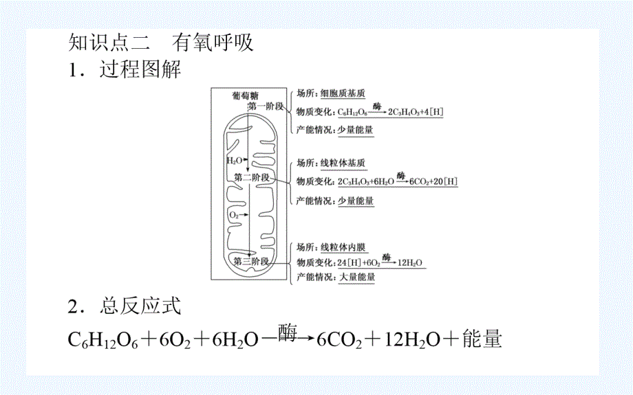 高考生物人教新金典大一轮课件：课前自主预习案1.3.2ATP的主要来源——细胞呼吸_第3页