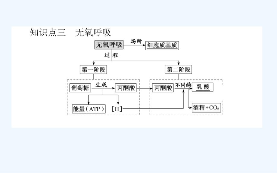 高考生物人教新金典大一轮课件：课前自主预习案1.3.2ATP的主要来源——细胞呼吸_第4页