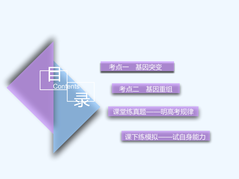 高考生物精准备考一轮全国通用课件：必修2 第三单元 第1讲　基因突变和基因重组_第4页