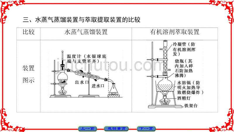 高中生物人教版选修一课件：专题6 微专题突破_第5页