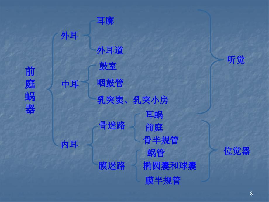 前庭蜗器解剖知识ppt课件.ppt_第3页